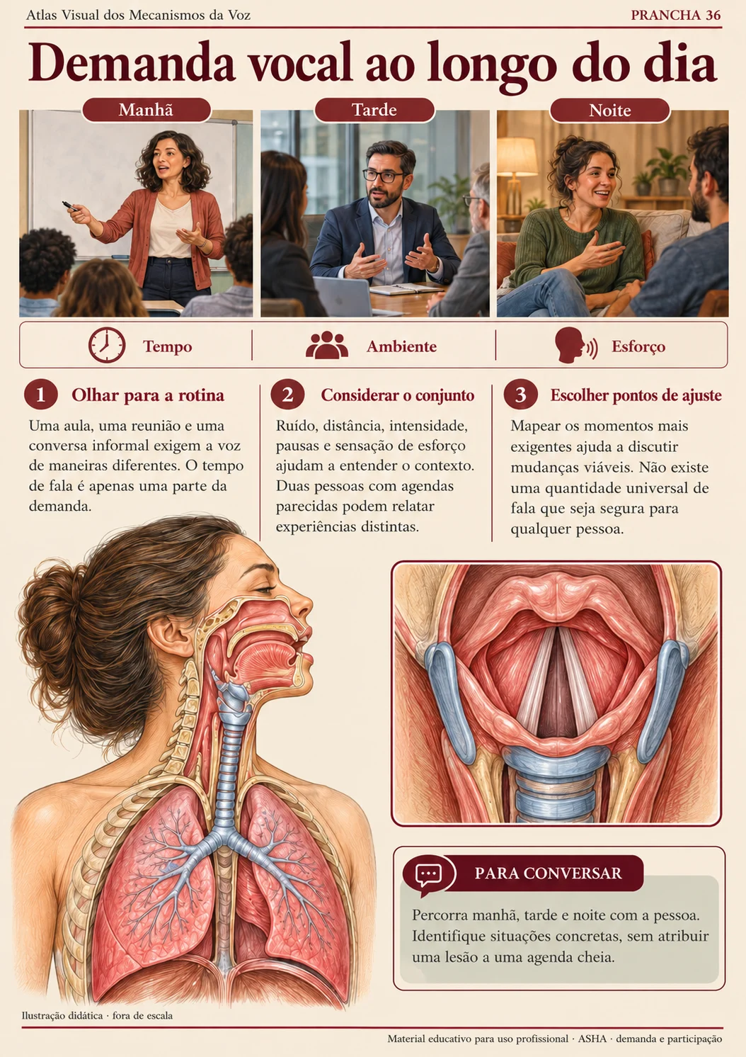 Prévia 3