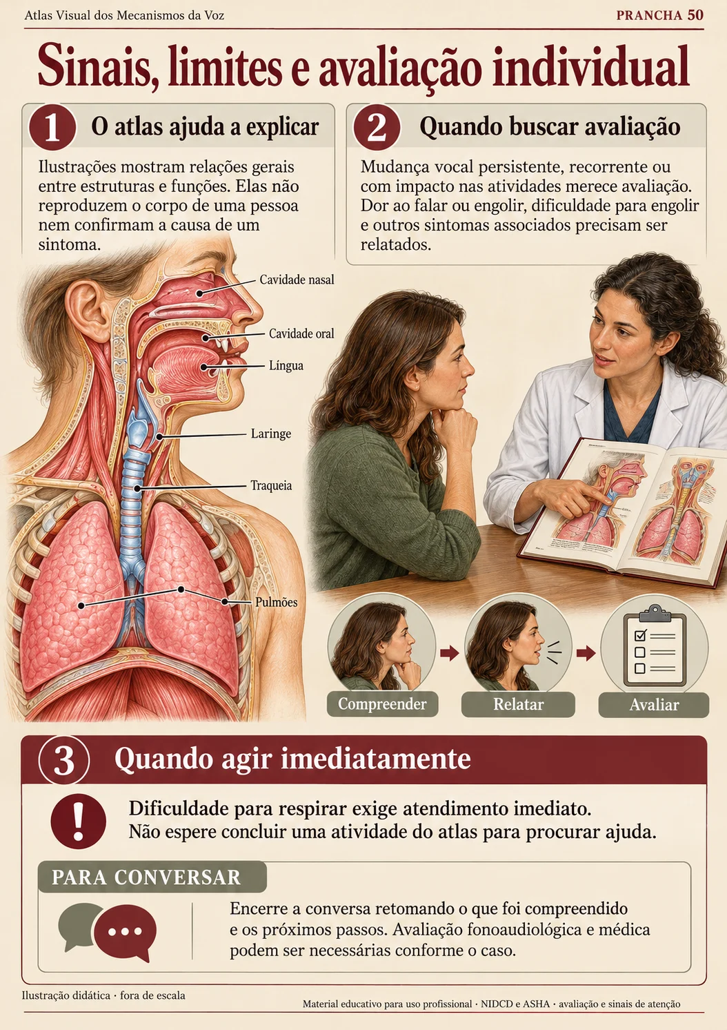 Prévia 4